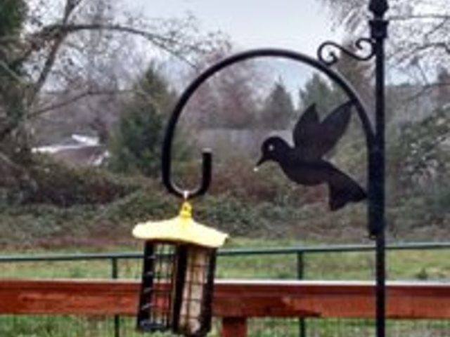 Deer Creek Adult Family Home Inc - Assisted Living Home photo 5 in Puyallup, WA